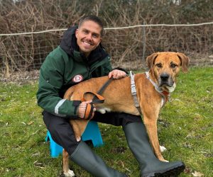 21c4faa5-b111-45c2-9af0-0b6b83d6c9df