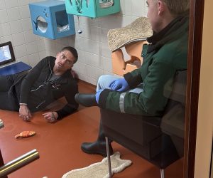 22d66030-2700-4bd0-b1f0-71be62a9da35