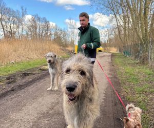 38eb3233-7881-4b6a-b1a2-0233cd5553cd