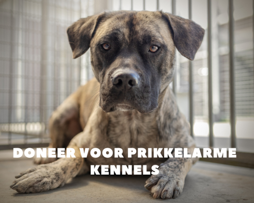 Ontwerp zonder titel (2)