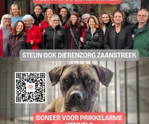 PHOTO-2025-06-30-20-56-43