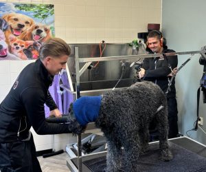 d8f4061e-60fe-4509-9c5d-9afe9986feb0