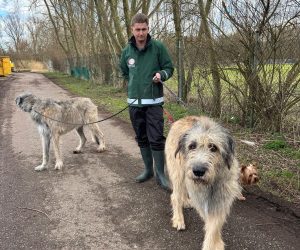 dae7ddc4-46a3-433e-a1a3-9624b978226d