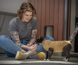 kat met vrijwilliger